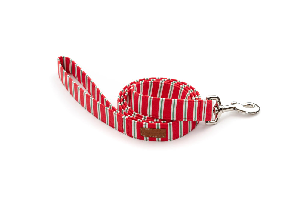 The Naughty List Leash