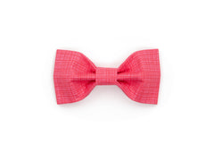 Fruit Punch Hatch Bowtie