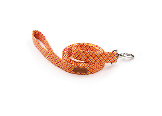 The Knox Leash