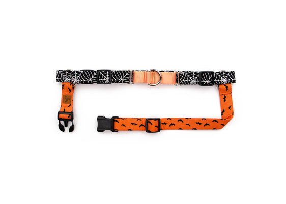 Trick Or Treat - Sunday Stroll Harness