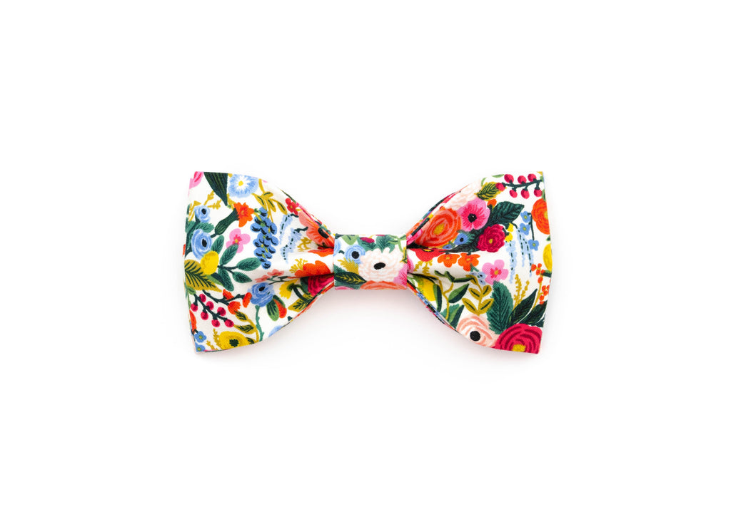 The Odelle Bowtie