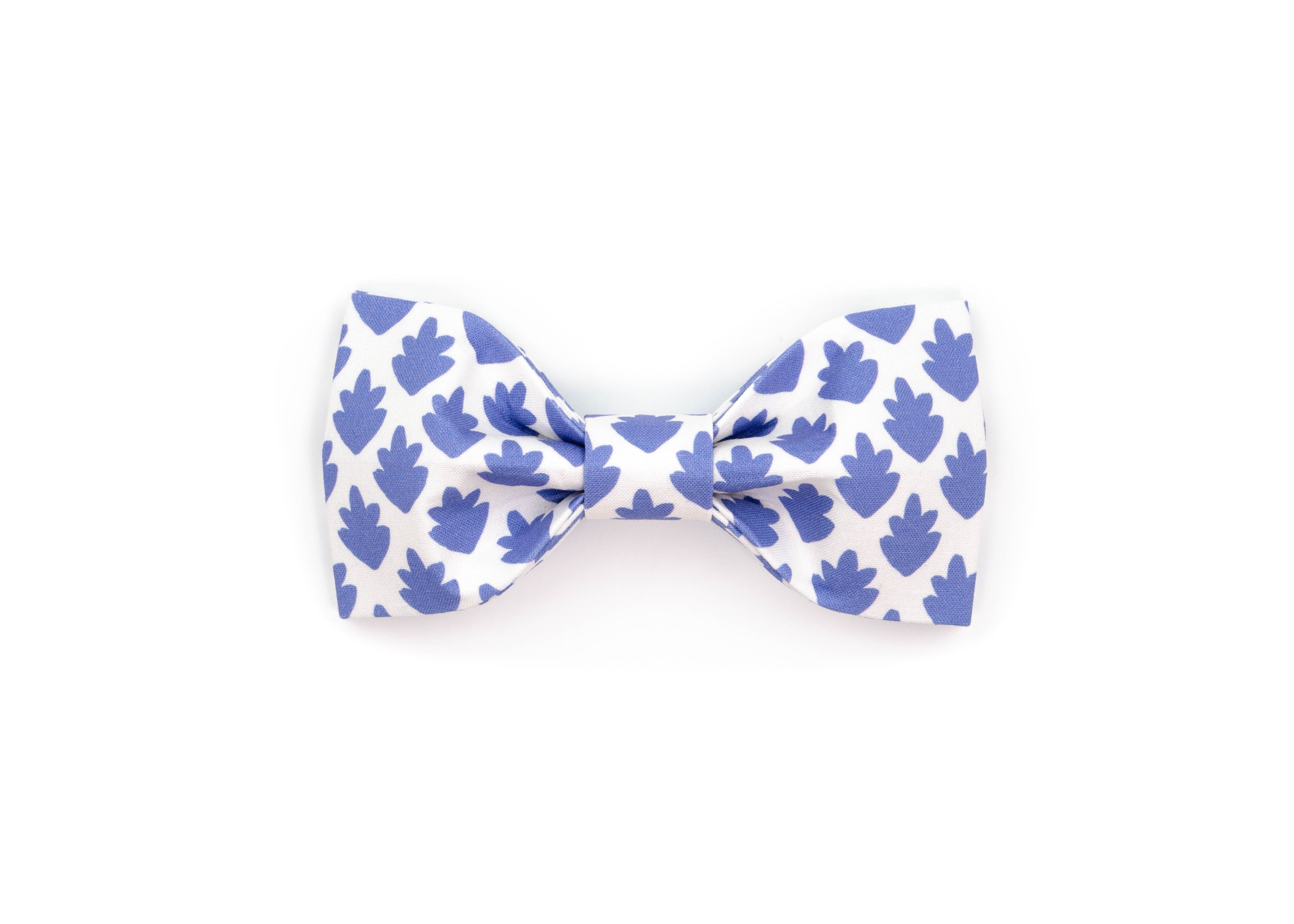 The Eleanor Bowtie