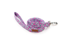 The Abby Leash