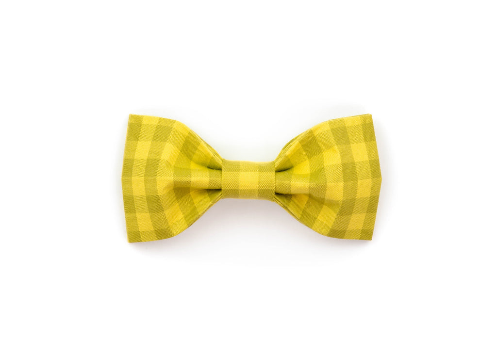 The Percy Bowtie