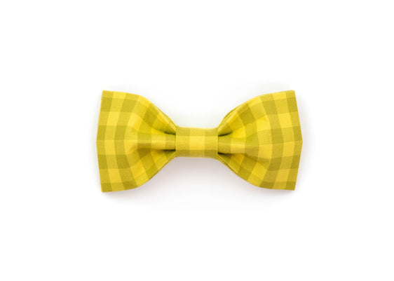 The Percy Bowtie