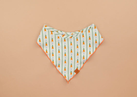 The Robin Bandana