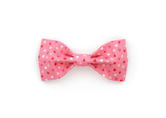 The Imogen Bowtie