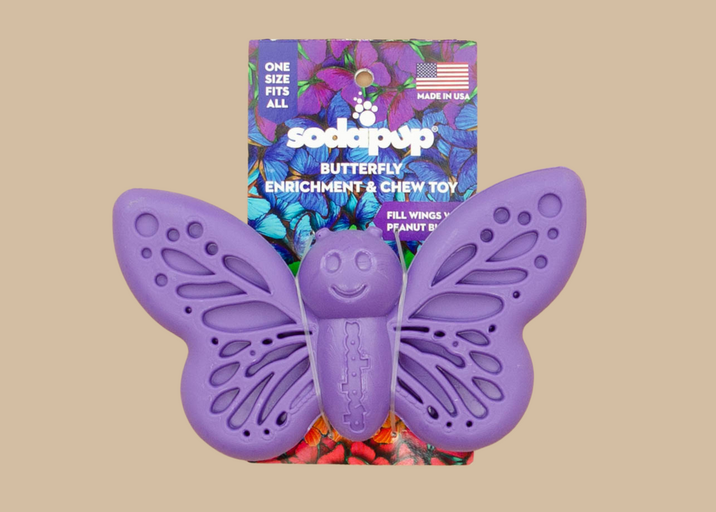 Power Chewer Butterfly