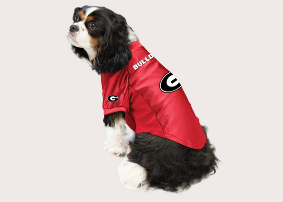 GA Bulldogs Pet Jersey