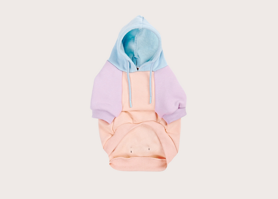 Cotton Candy Dog Hoodie