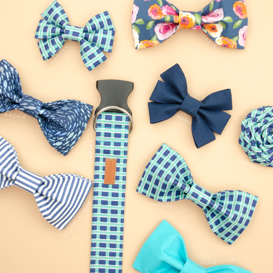 The Harvey Bowtie