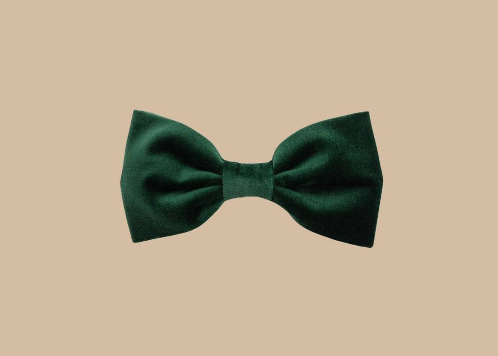 Gentleman Bowtie - Balsam Velvet