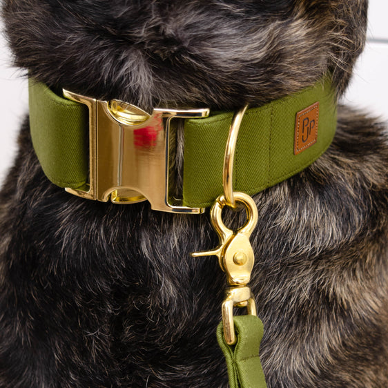 Signature Collar - Olive