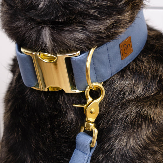 Signature Collar - Slate