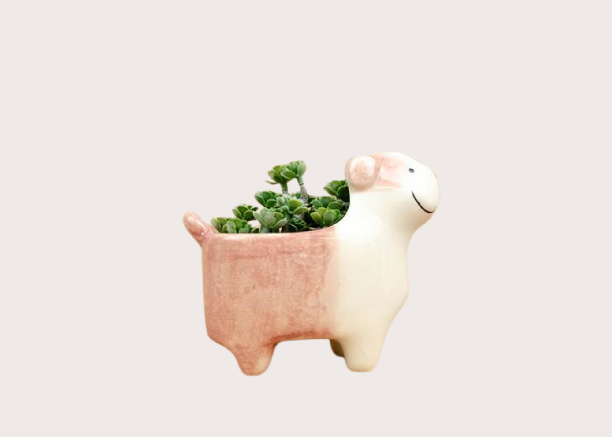 Ceramic Dog Planter - Bulldog