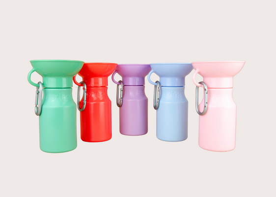 Mini Travel Water Bottle