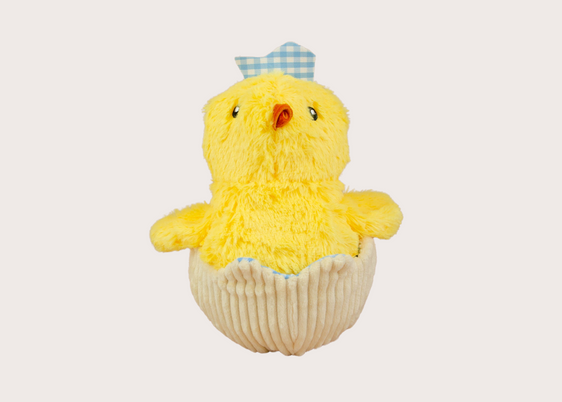 Hatching Chick Toy