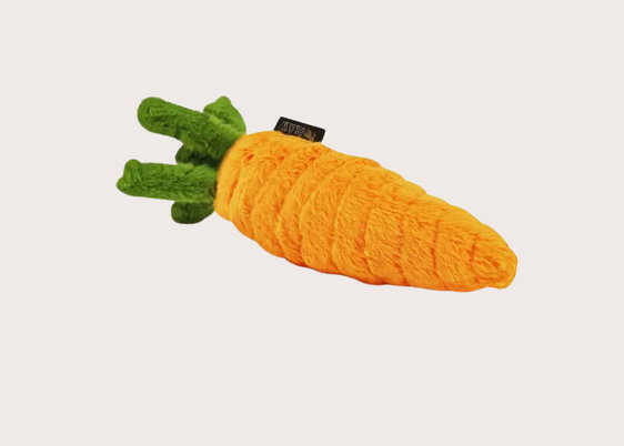 Garden Fresh Carrot Toy