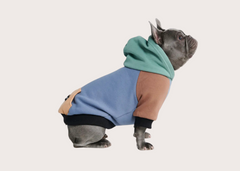 Alpine Dog Hoodie