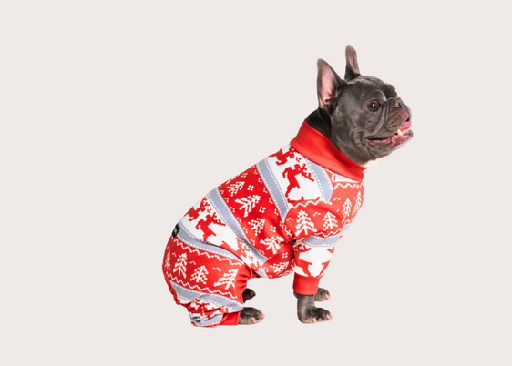 Christmas Dog Pajama