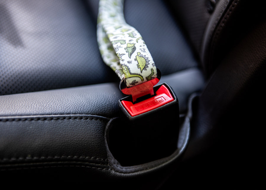 Seatbelt Leash