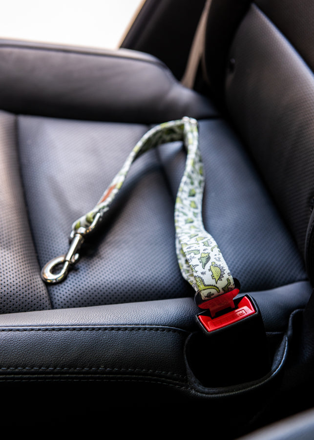 Seatbelt Leash