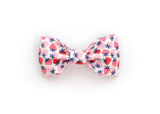 The Adela Bowtie