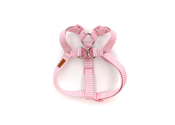 Macaroon Stripe Harness