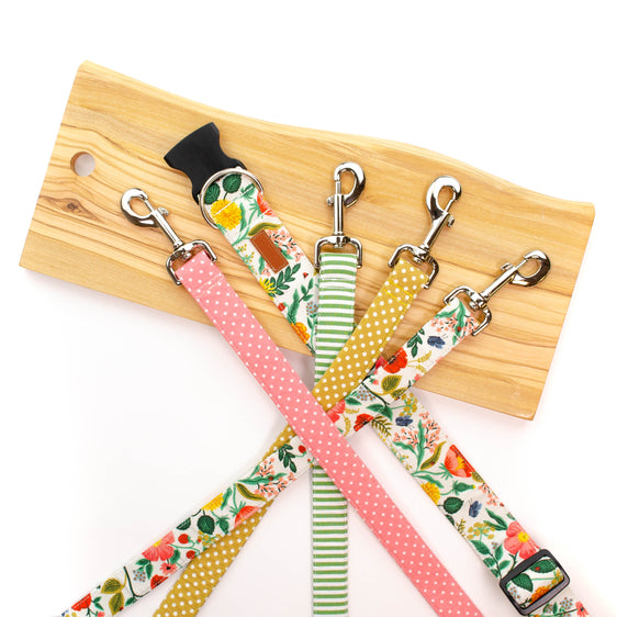 Mustard Seed Polka Dot Leash