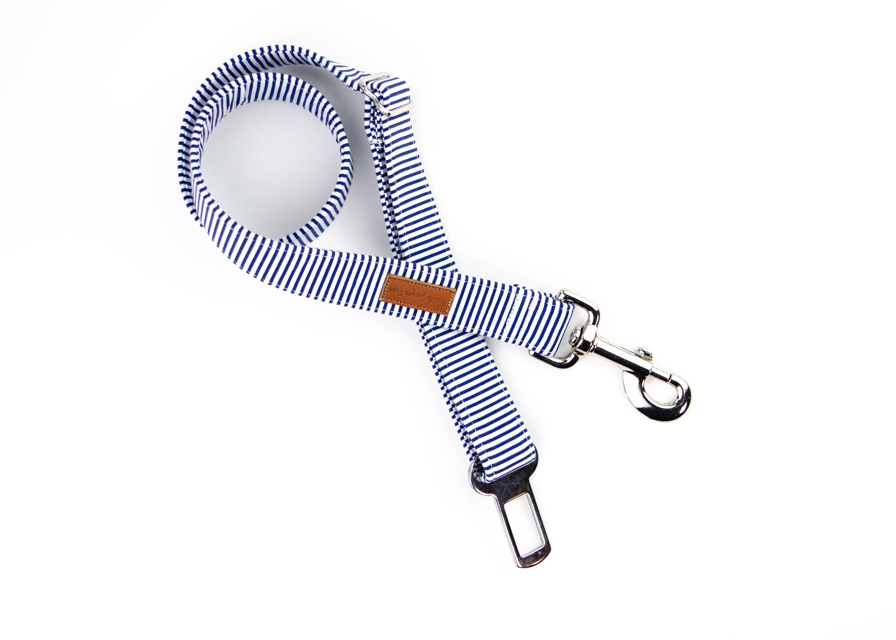 Seatbelt Leash