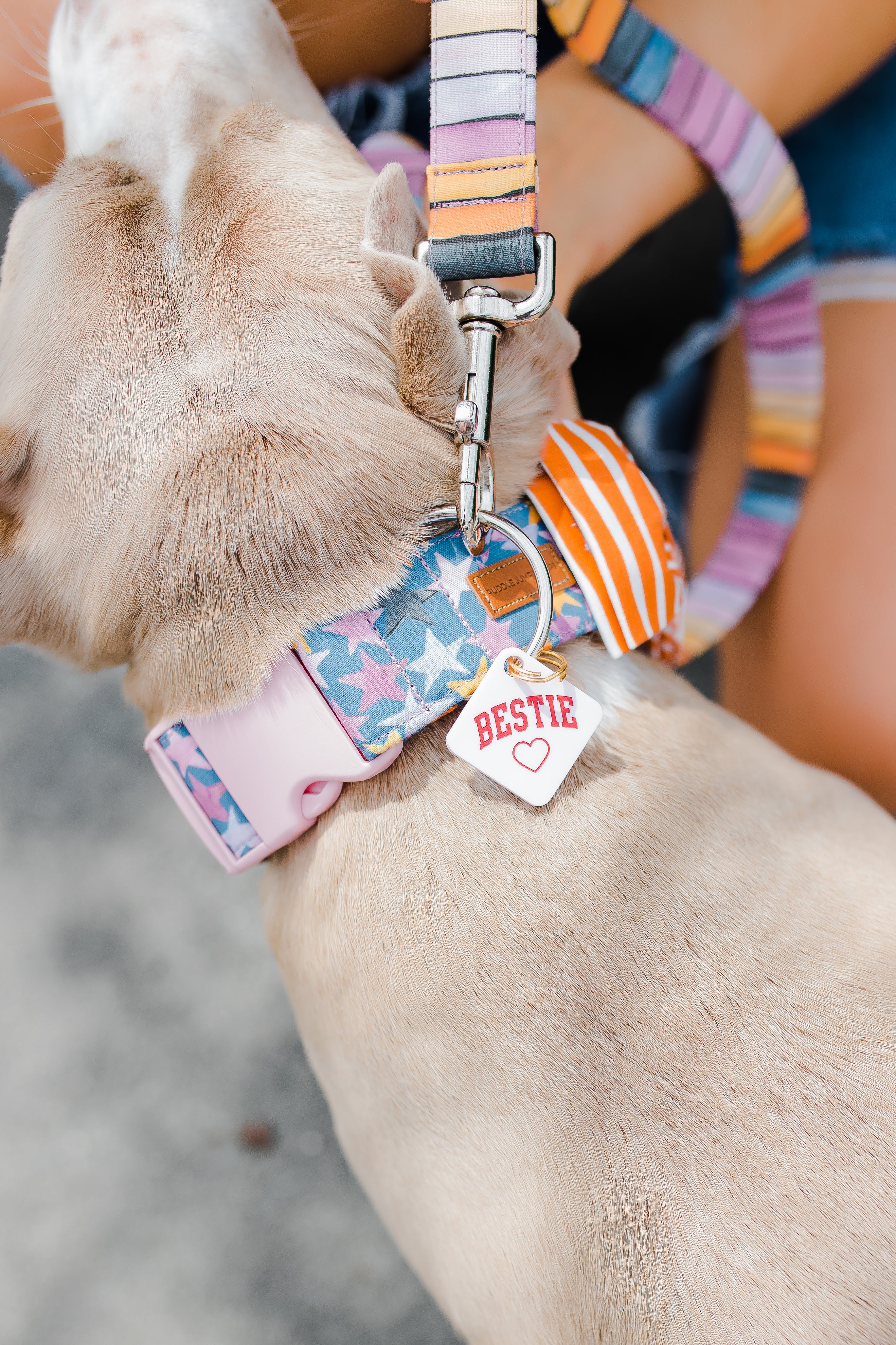 Acrylic Dog Tag - Bestie