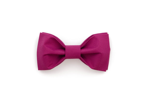 Magenta Bowtie