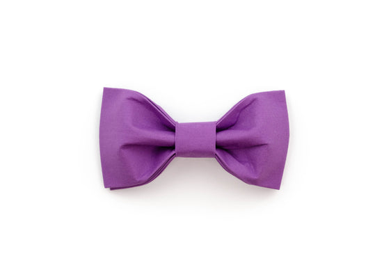 Violet Bowtie